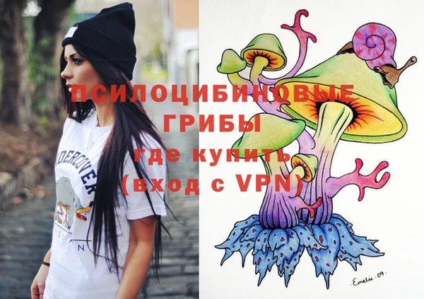 прущие крисы Новокубанск