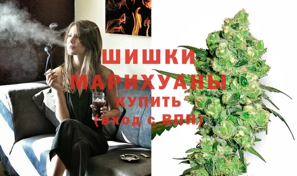 не бодяженный Новозыбков
