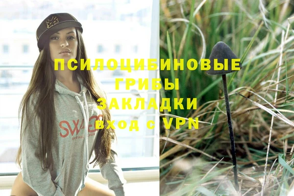 не бодяженный Новозыбков