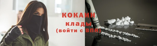 не бодяженный Новозыбков