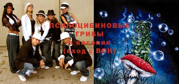 синтетический гашиш Новодвинск