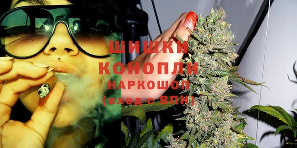 прущие крисы Новокубанск