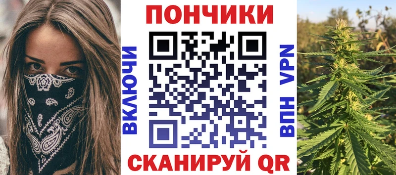 Каннабис OG Kush  Купить  Чебаркуль 